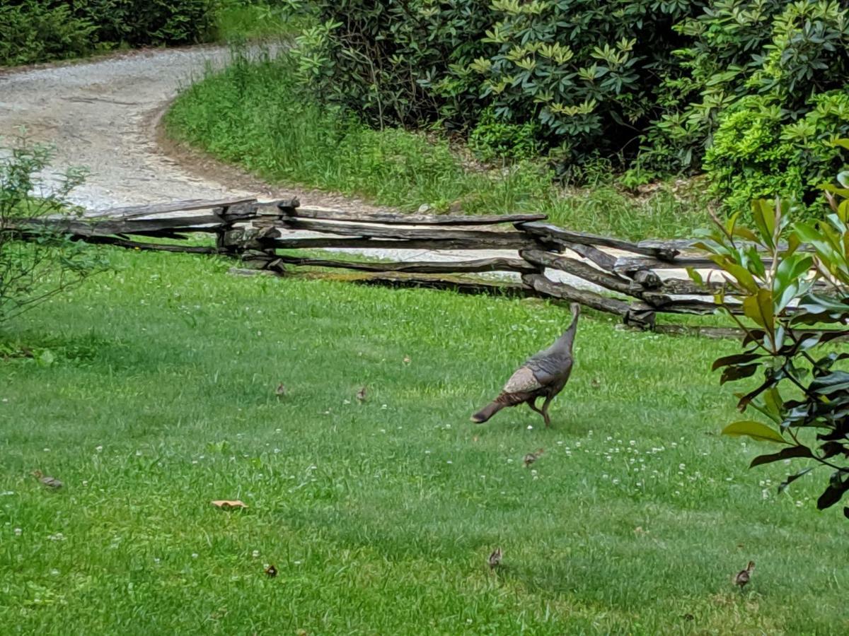 Buffalo Creek Bed And Breakfast Robbinsville Eksteriør bilde